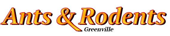 Greenville Ant Exterminator & Rodent Control Company Logo